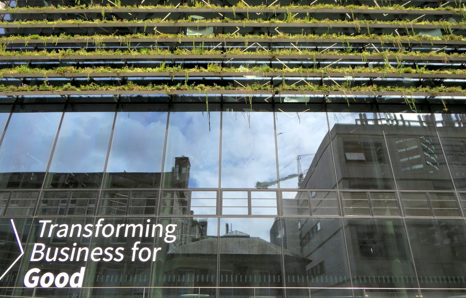 Why Your Business Needs ESG Software for a Sustainable Future